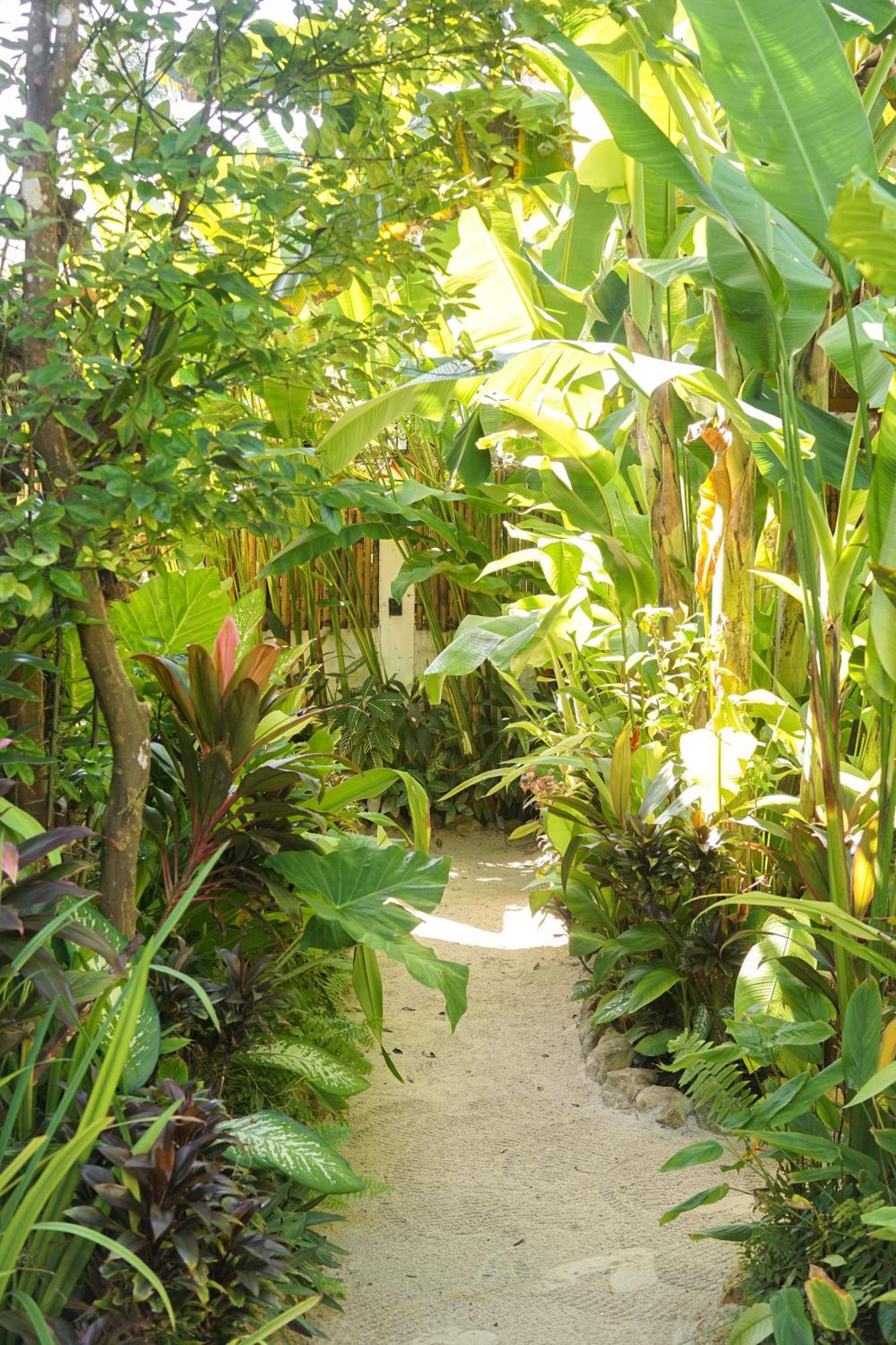 Greenhouse Siargao Roadside Boutique Apartments General Luna  Eksteriør bilde